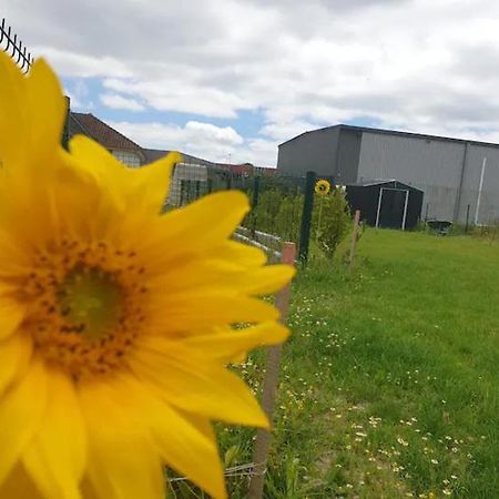Chambre Calme Dans Une Maison Neuve Avec Jardin Billere Exteriér fotografie