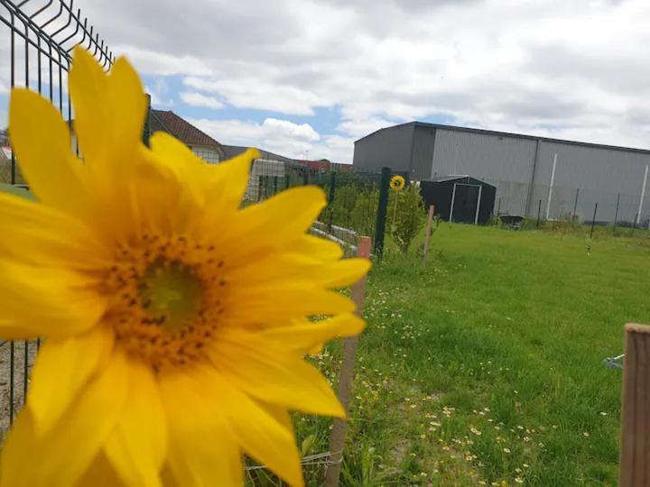 Chambre Calme Dans Une Maison Neuve Avec Jardin Billere Exteriér fotografie